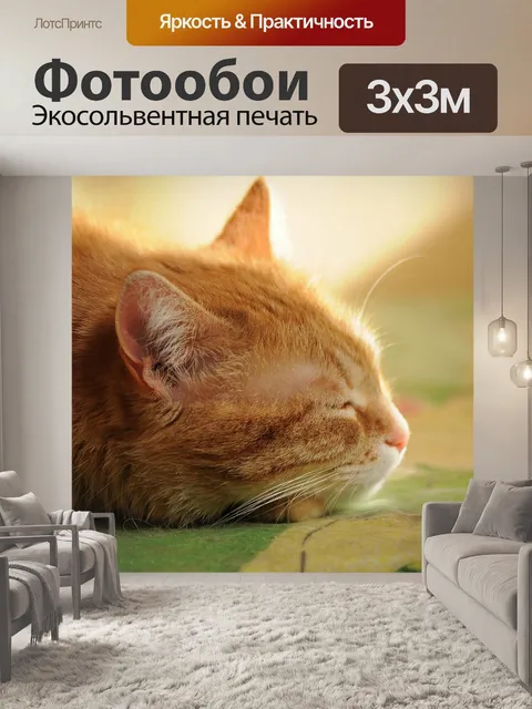 Фотообои Кошка