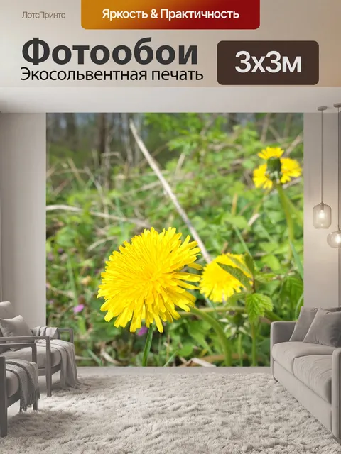 Фотообои Одуванчик