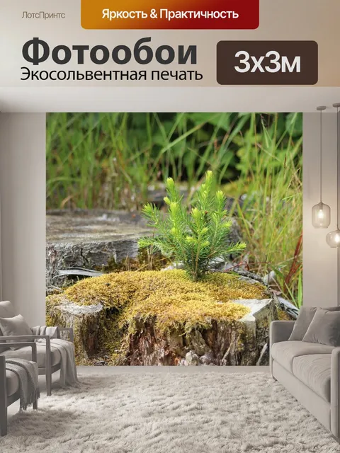 Фотообои Лес