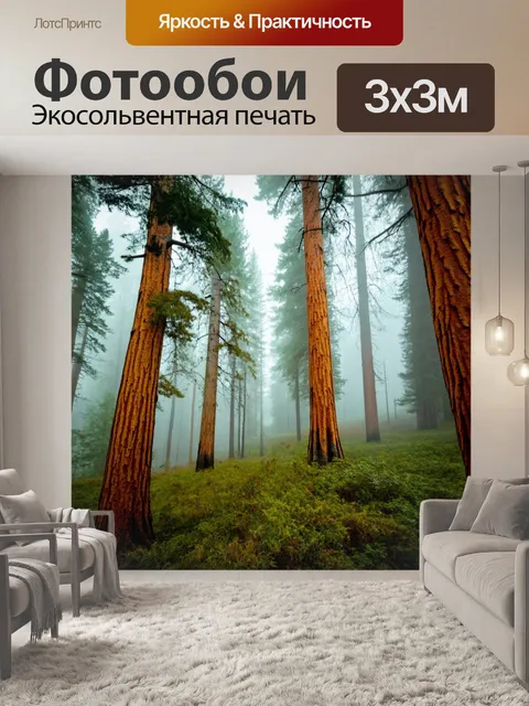 Фотообои туман в стиле максимализм