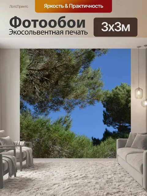 Фотообои Пейзаж Деревья небо природа Фон