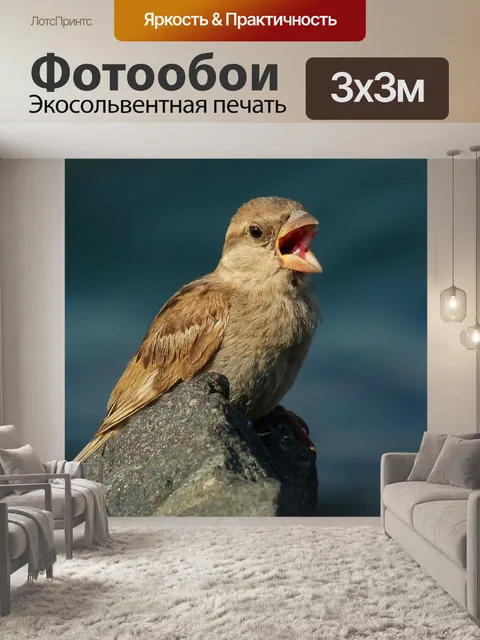 Фотообои Птица
