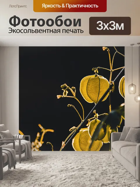 Фотообои Физалис
