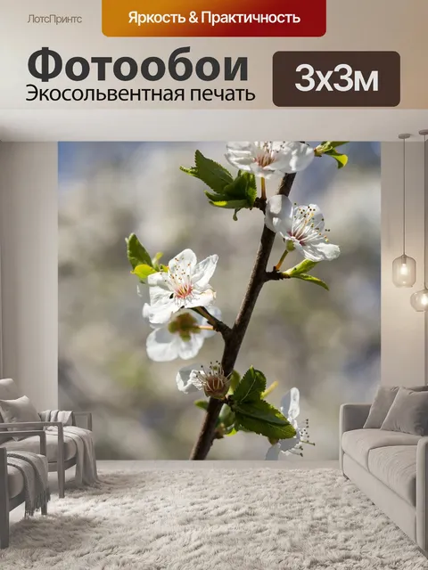 Фотообои Природа