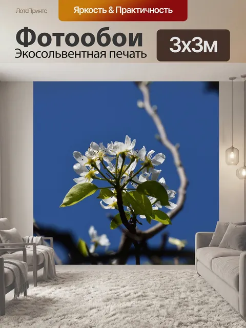 Фотообои Цветок