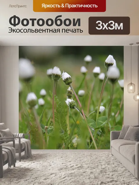 Фотообои Цветы