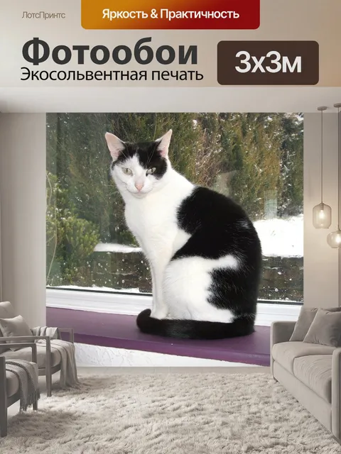 Фотообои Кошки