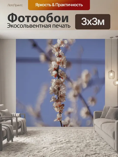 Фотообои Сакура