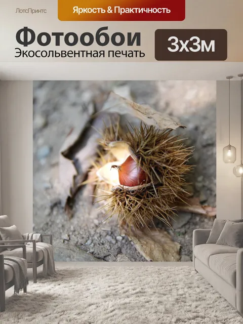 Фотообои Ночь