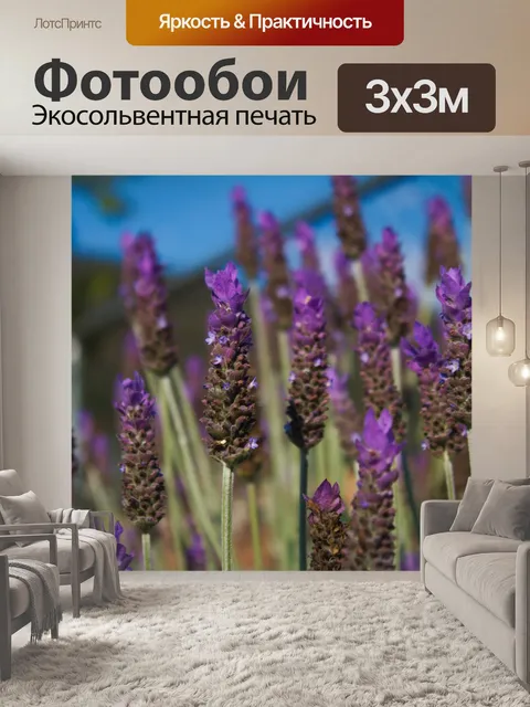 Фотообои Лаванда