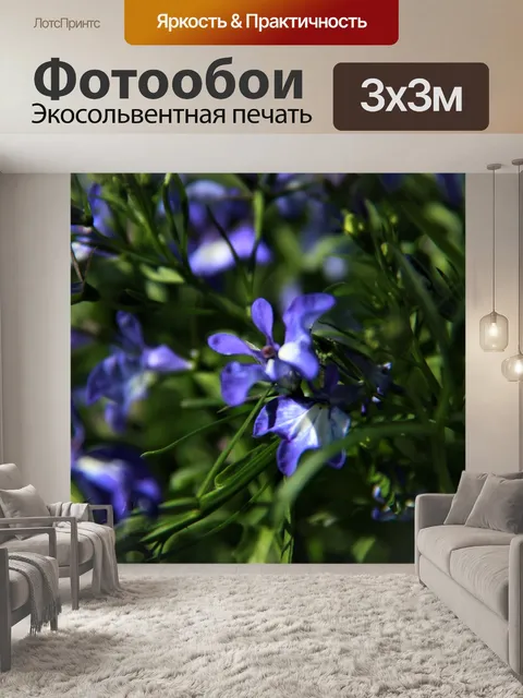 Фотообои Голубой цветок