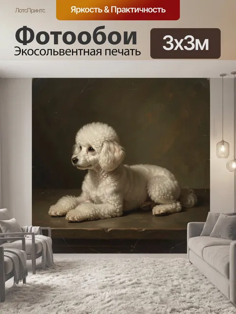 Фотообои Белый пудель на темном фоне