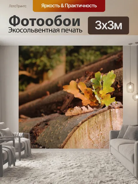 Фотообои Листья
