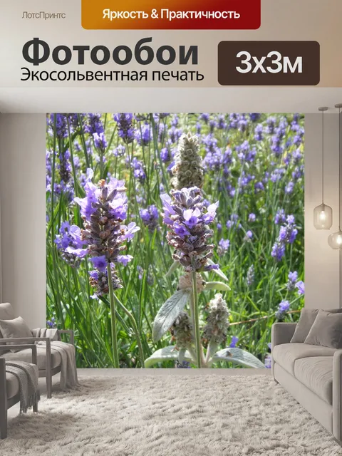 Фотообои Лаванда