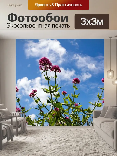 Фотообои Цветы
