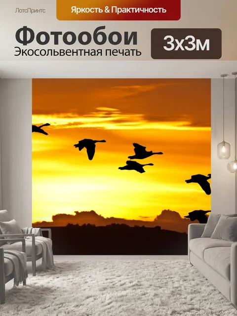 Фотообои Восход птиц в полете