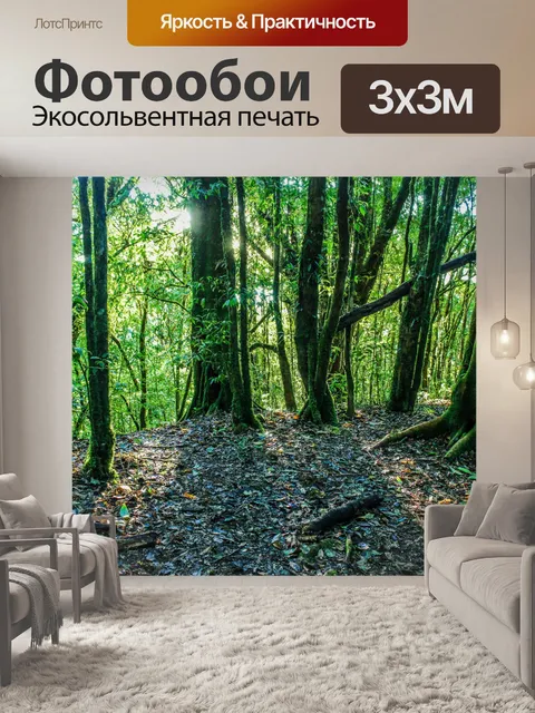 Фотообои Тропический лес в Дои Интанон, Чиангмай
