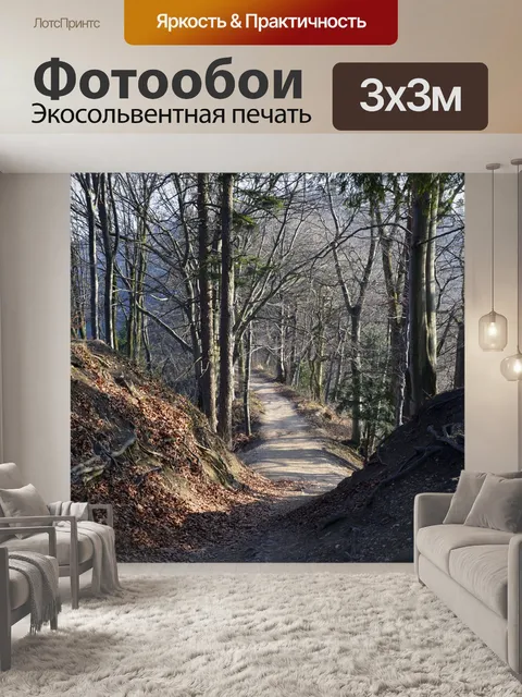 Фотообои Дорожка