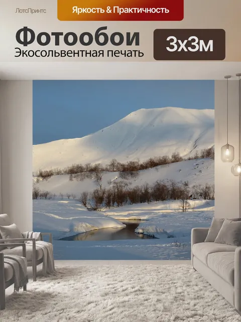 Фотообои Зима