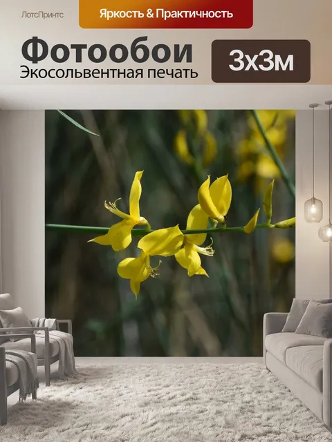 Фотообои Цветы