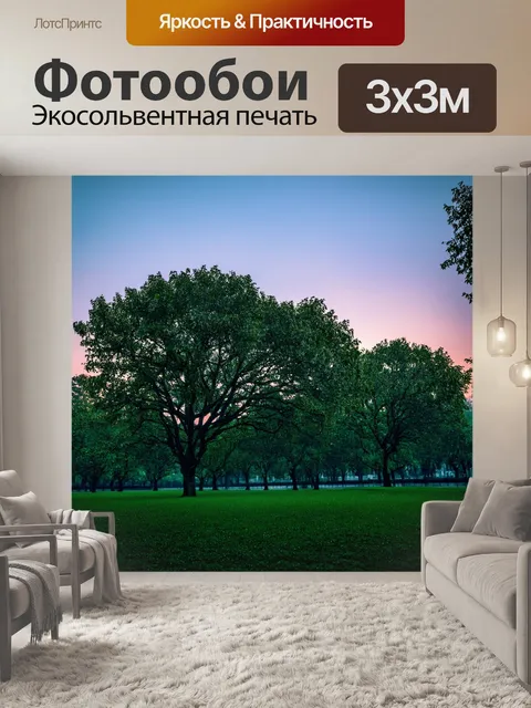 Фотообои рассвет в городском парке, когда верхушки деревьев покрыты росой