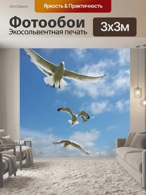 Фотообои Чайки