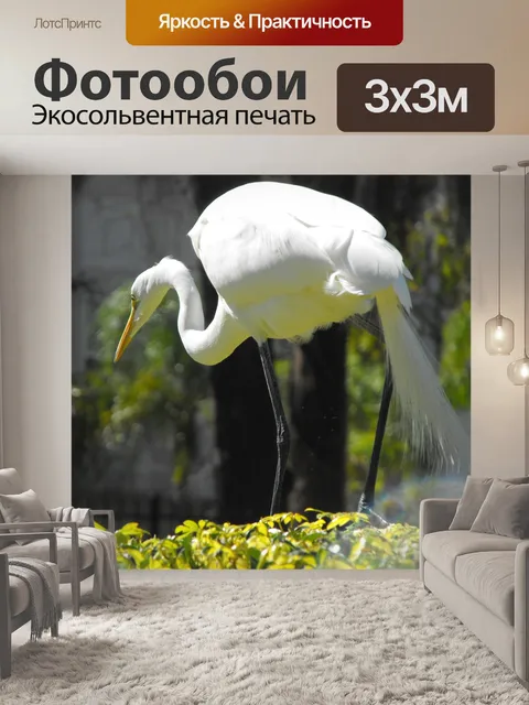 Фотообои Белый