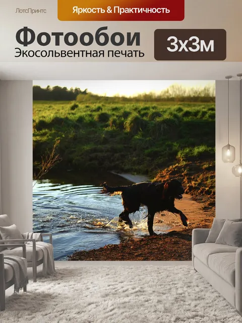Фотообои Собака