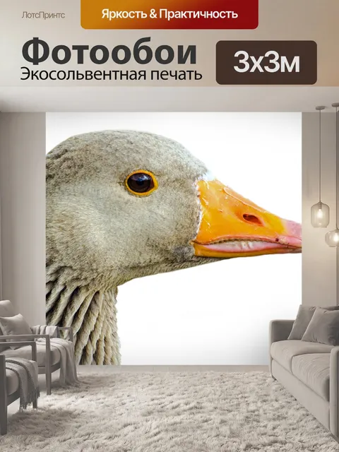 Фотообои Животное