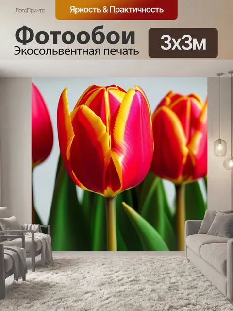 Фотообои тюльпаны в стиле минимализма