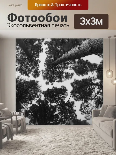 Фотообои Сосны