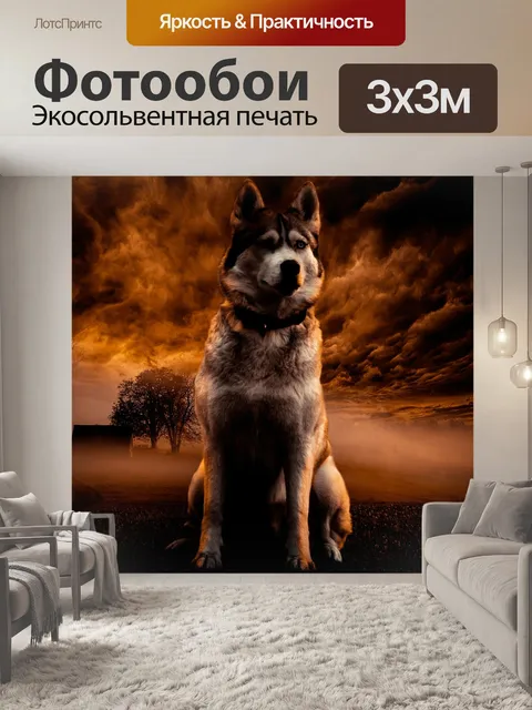 Фотообои Собака