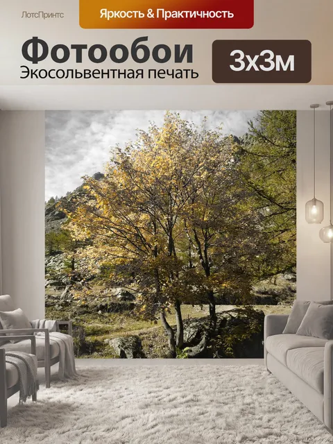 Фотообои Осень