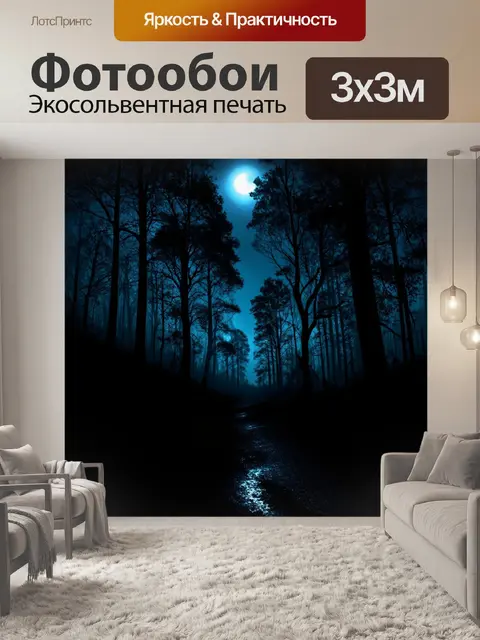 Фотообои черный, где черные панорамы отражают мистические леса под светлыми лунными лучами
