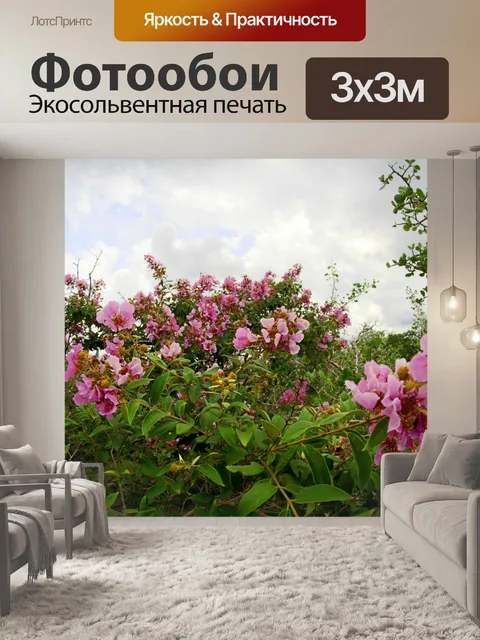 Фотообои Фа Луанг Водопад Лесопарк