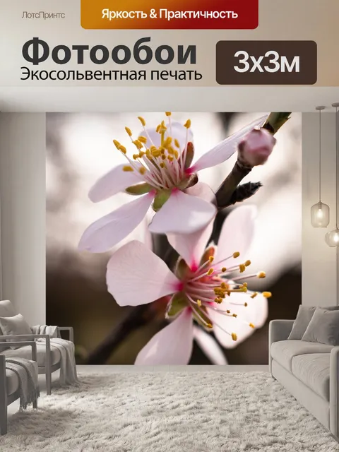 Фотообои Цветы