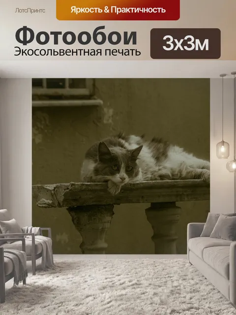 Фотообои Кошка