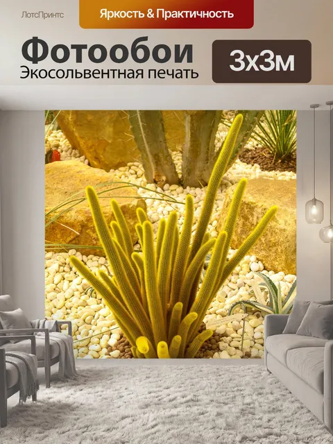 Фотообои Кактус пустынное растение