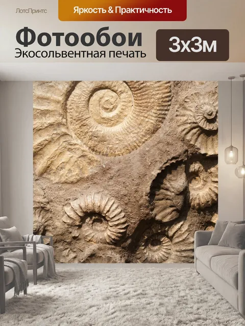 Фотообои оболочки окаменелостям