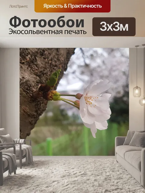 Фотообои Вишни в цвету