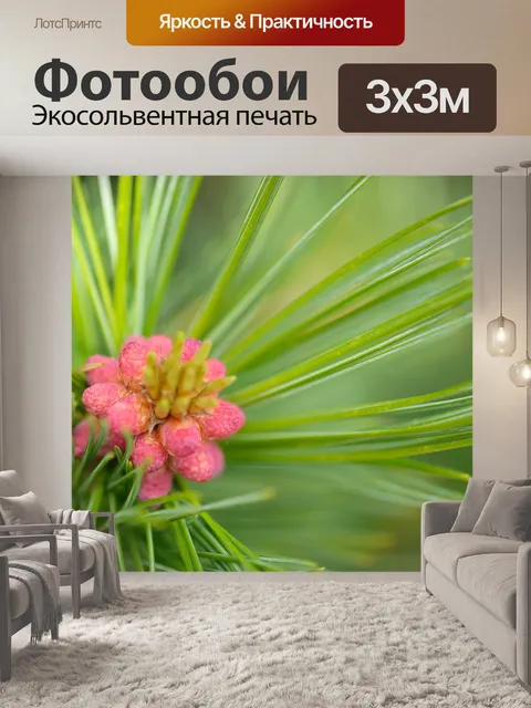 Фотообои Цветы
