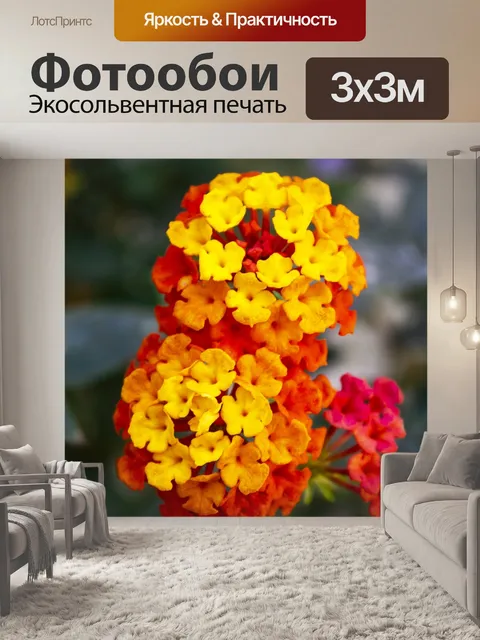 Фотообои Цветы