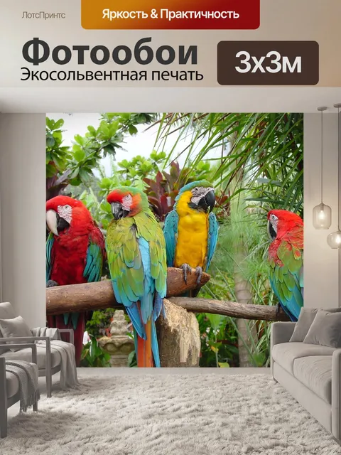 Фотообои Попугаи