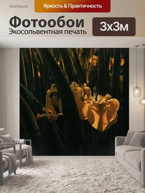 Фотообои Желтый ирис