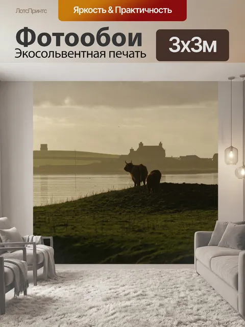 Фотообои Хайленд коров 1