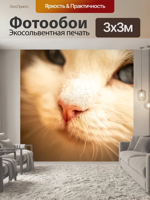 Фотообои Кошка