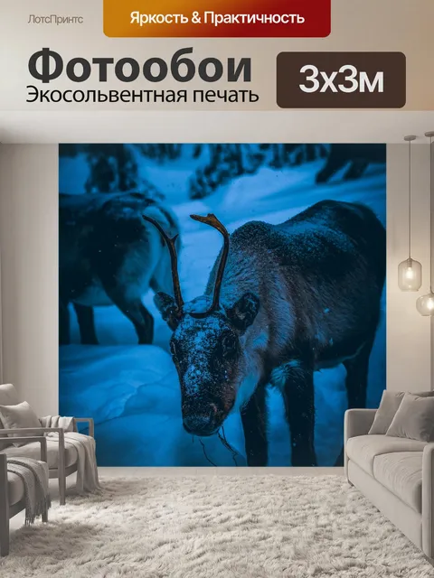 Фотообои Животные