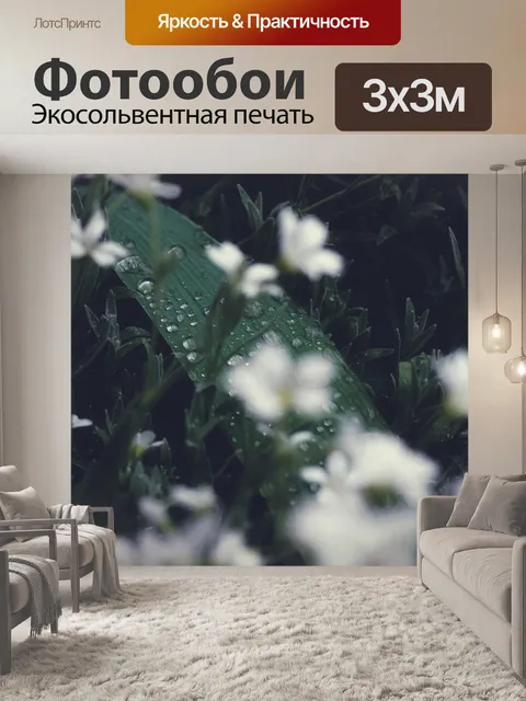 Фотообои Зеленый