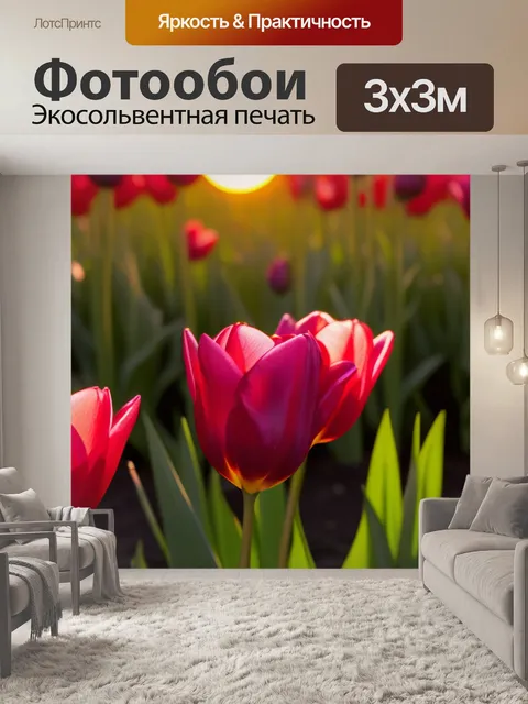 Фотообои тюльпаны в закатном свете