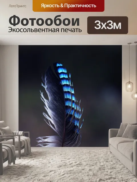 Фотообои Перо сойки